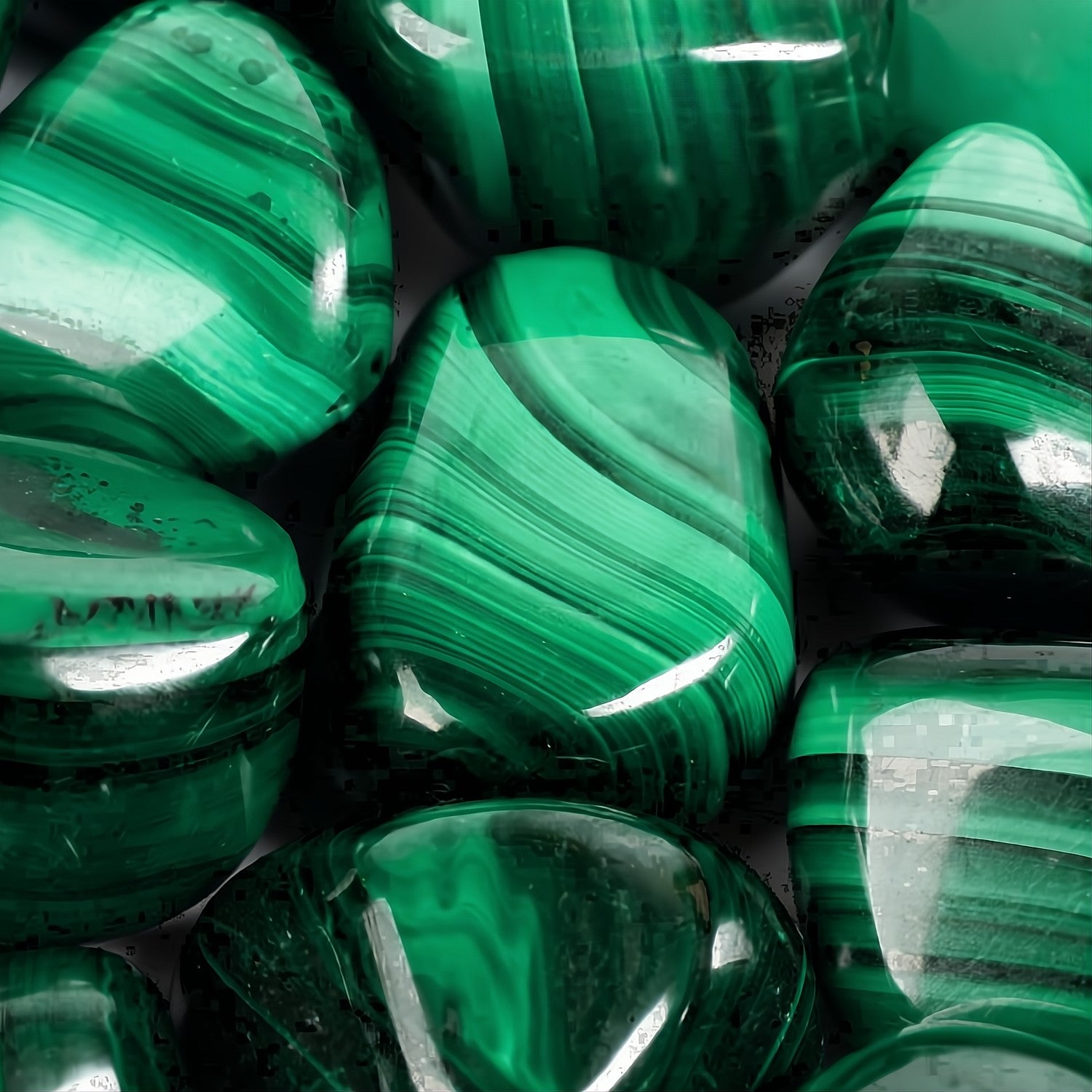 LYSIUM MALACHITE AUTOMATIC