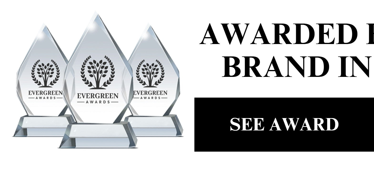 Award banner left half